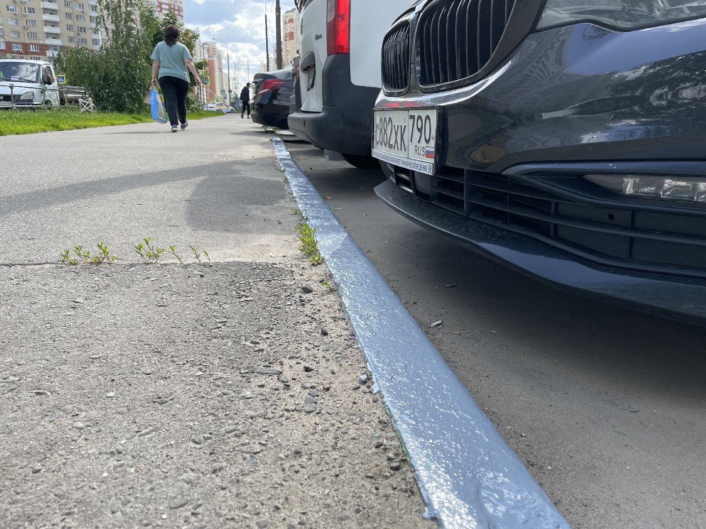 Бордюры, окраска, серый, Люберцы