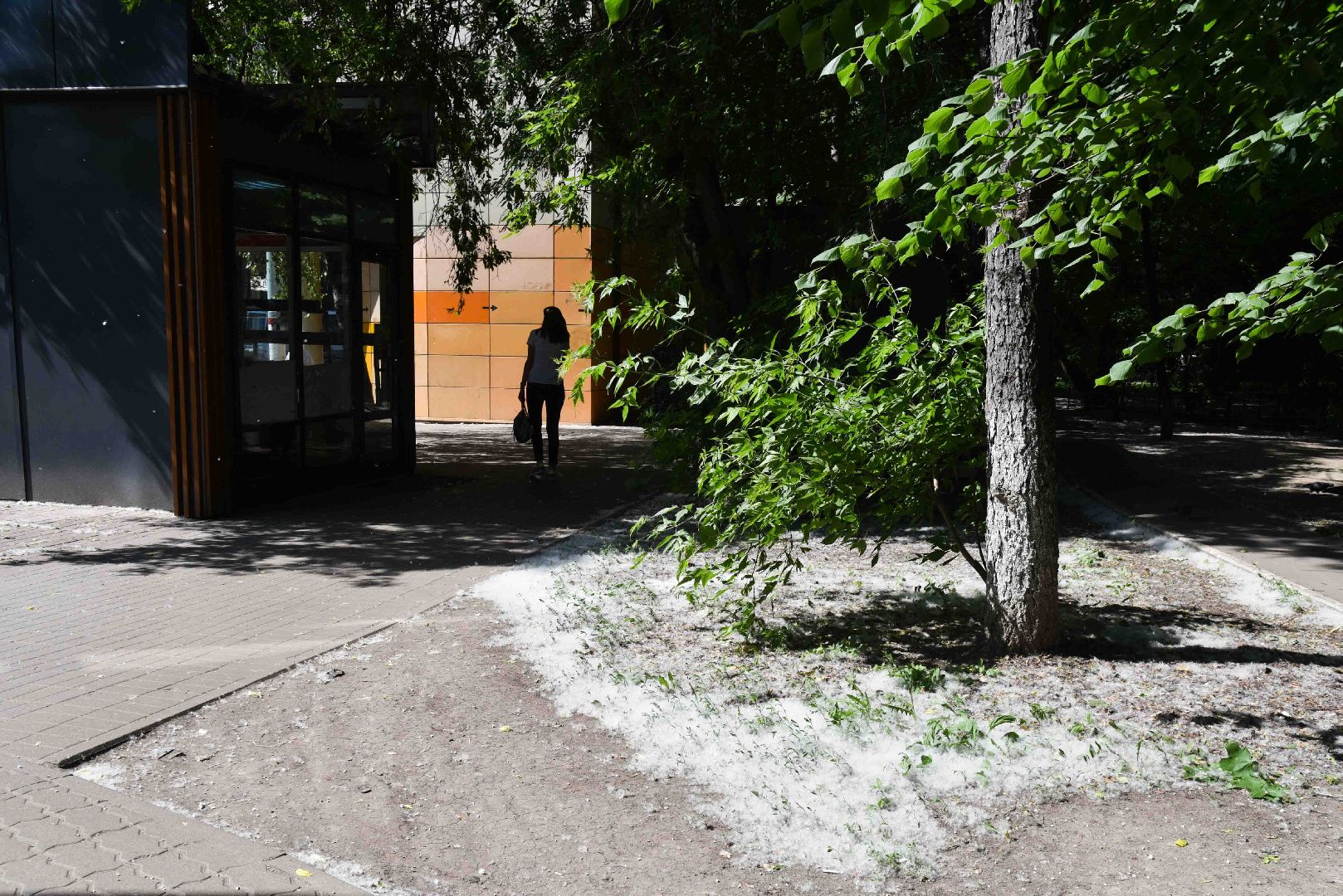 Химки, аллергия, рекомендации