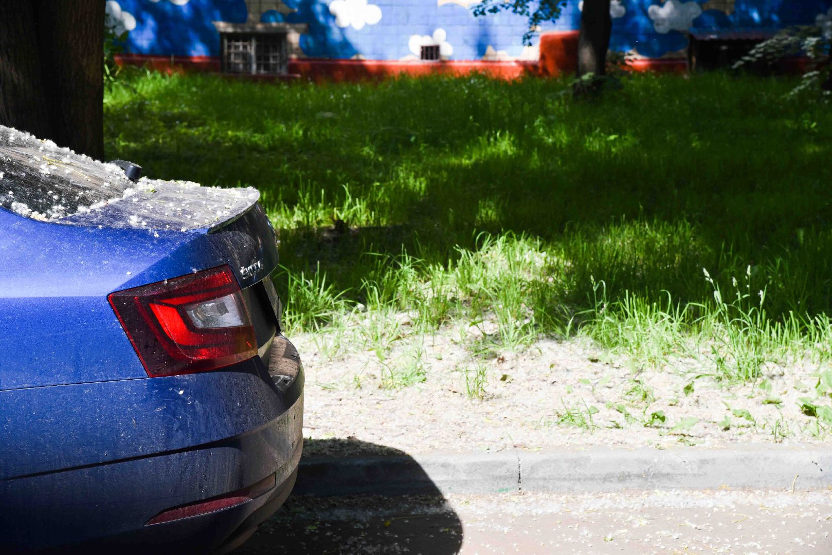 Химки, аллергия, рекомендации