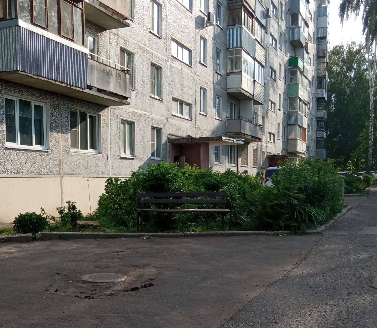 Павловский Посад, городской округ Павловский Посад, лавочки, покраска, дворы