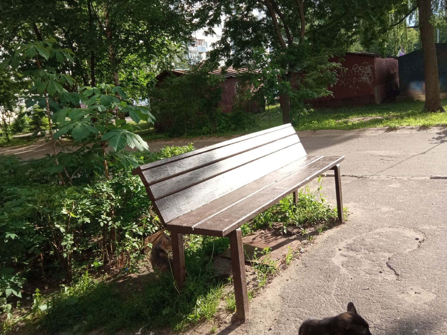 Павловский Посад, городской округ Павловский Посад, лавочки, покраска, дворы