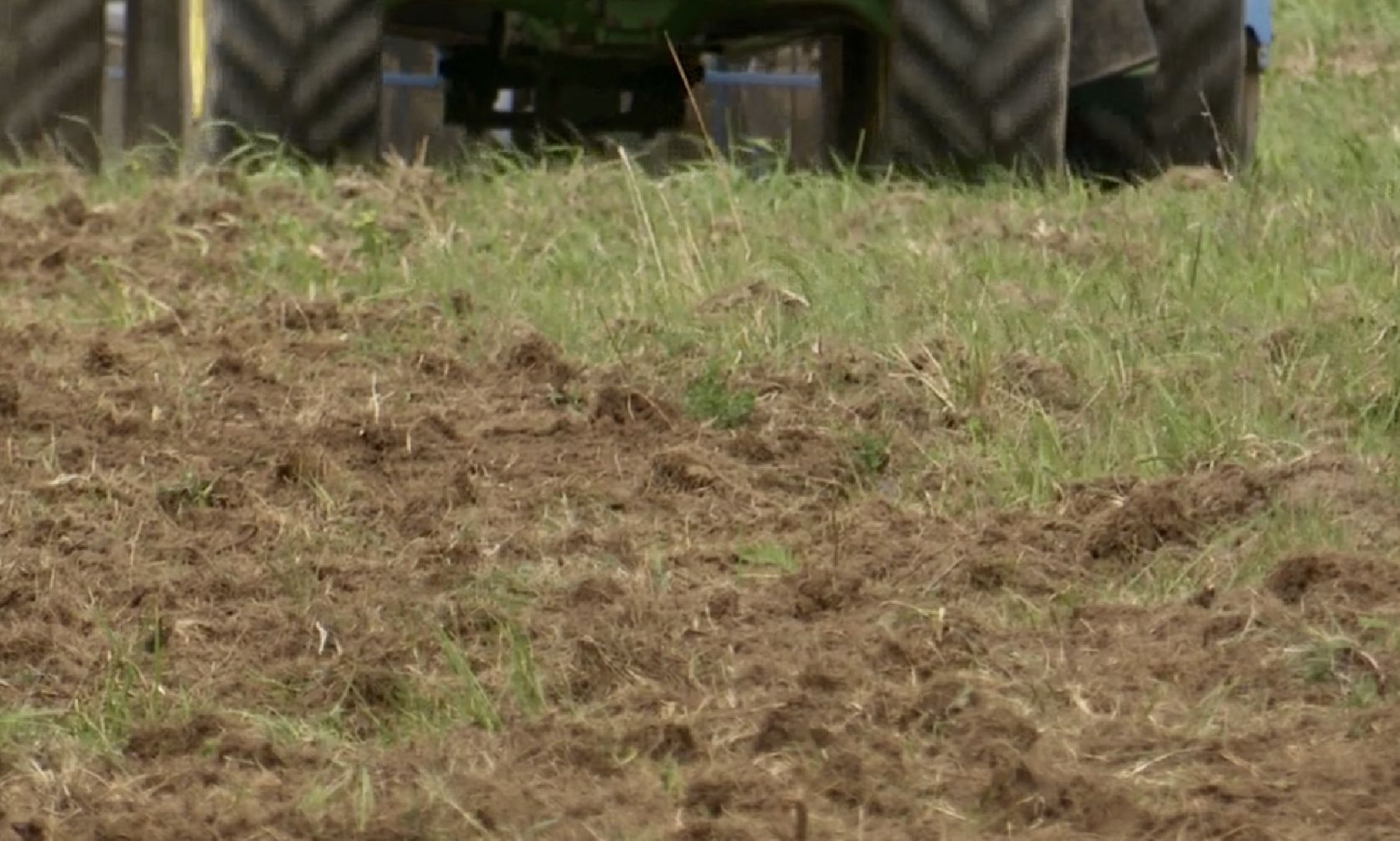 Клин, экономика, люди, сельхозпроизводство