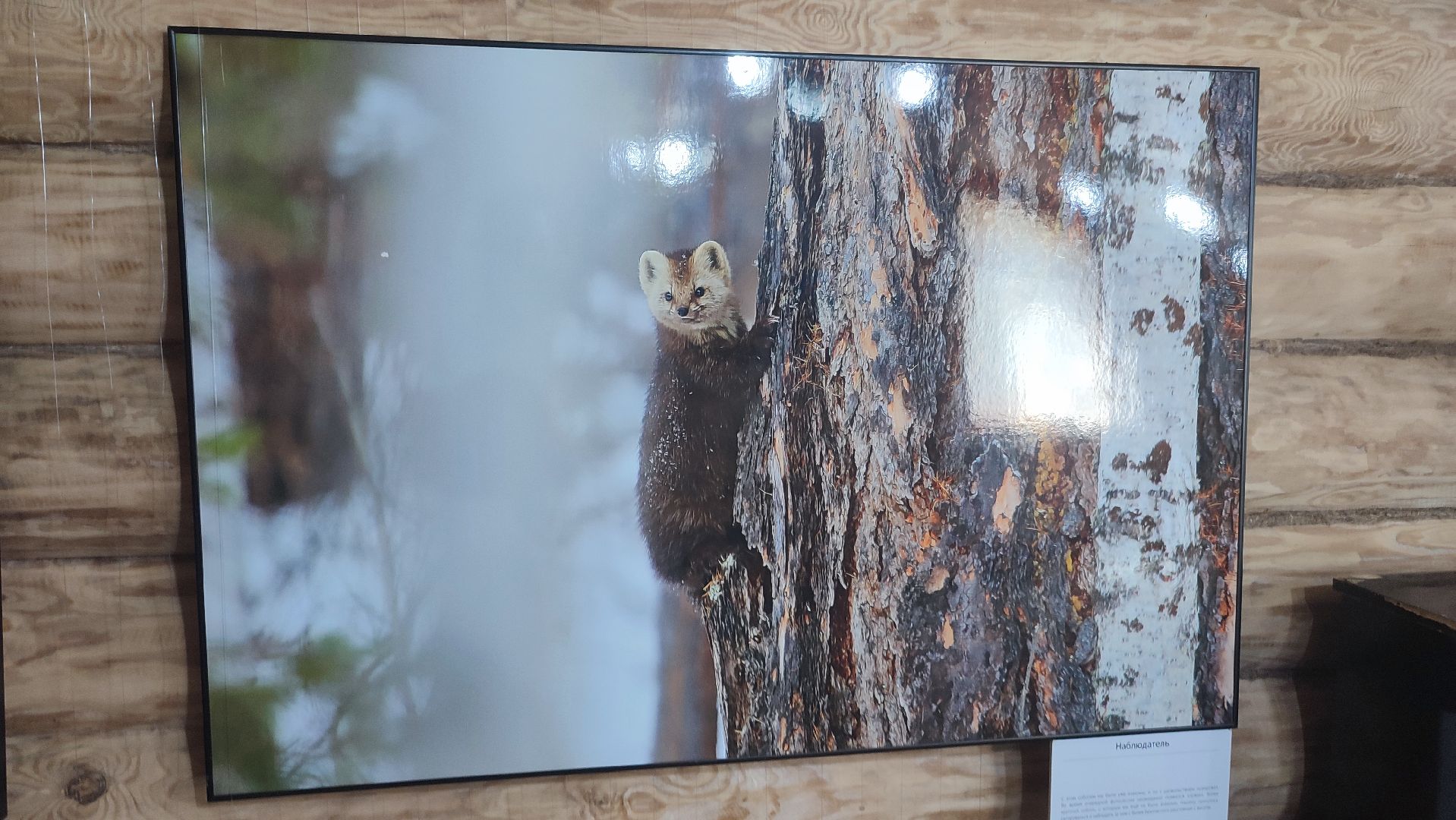 Кашира, выставка, фотография, дом Щукина, культура