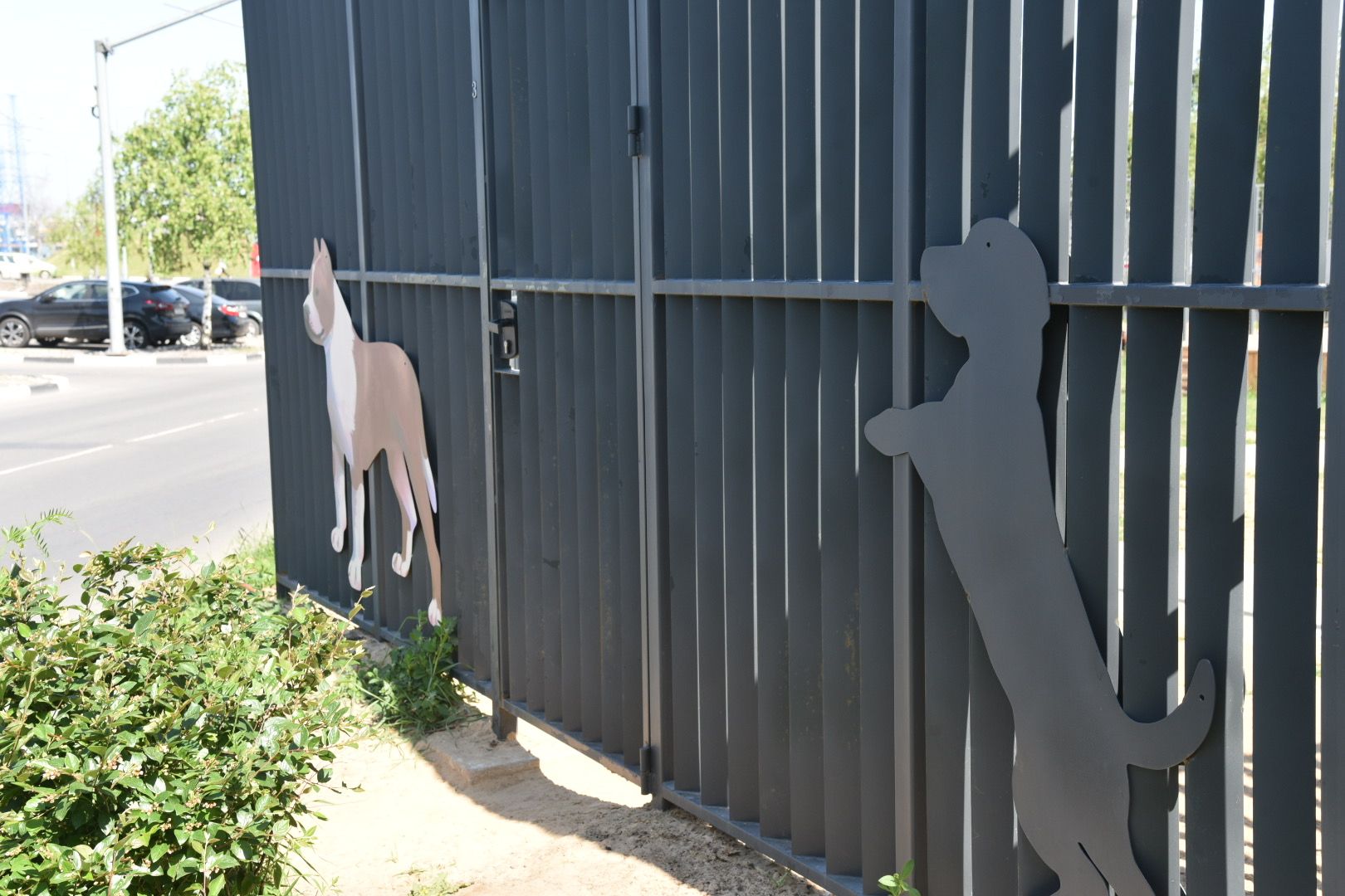 Химки, граффити, собаки