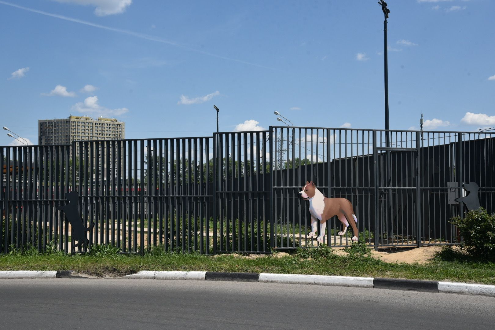 Химки, граффити, собаки