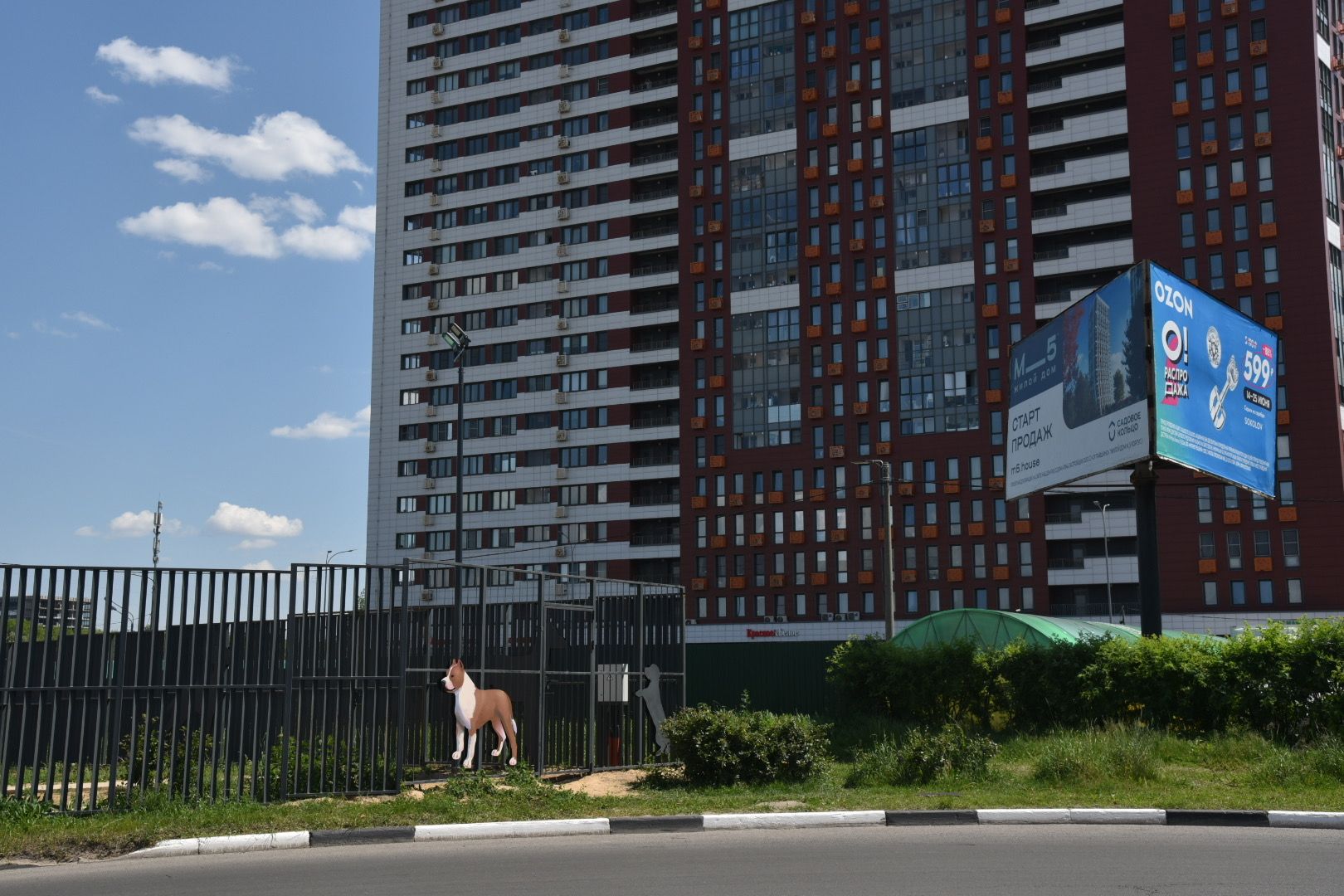 Химки, граффити, собаки