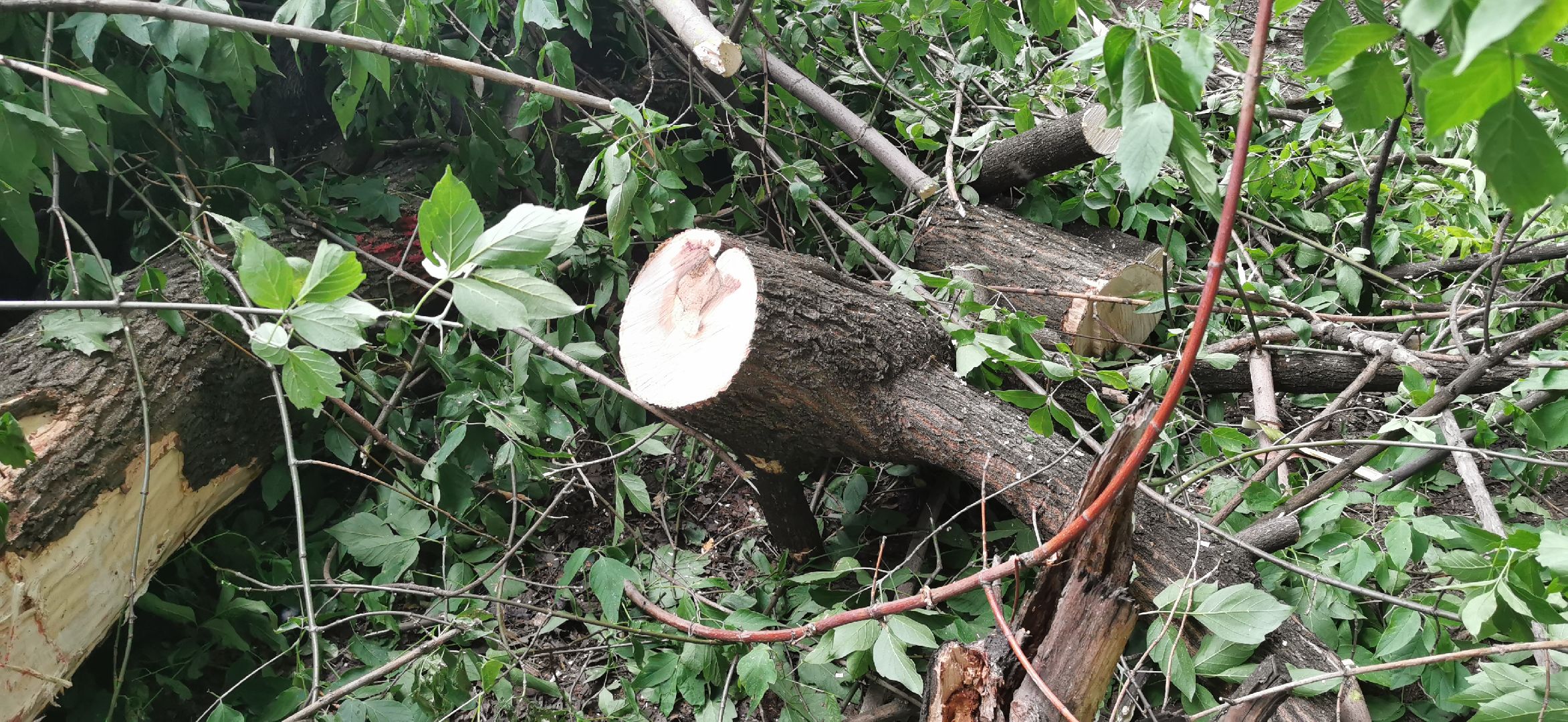 авария, чп, происшествия,