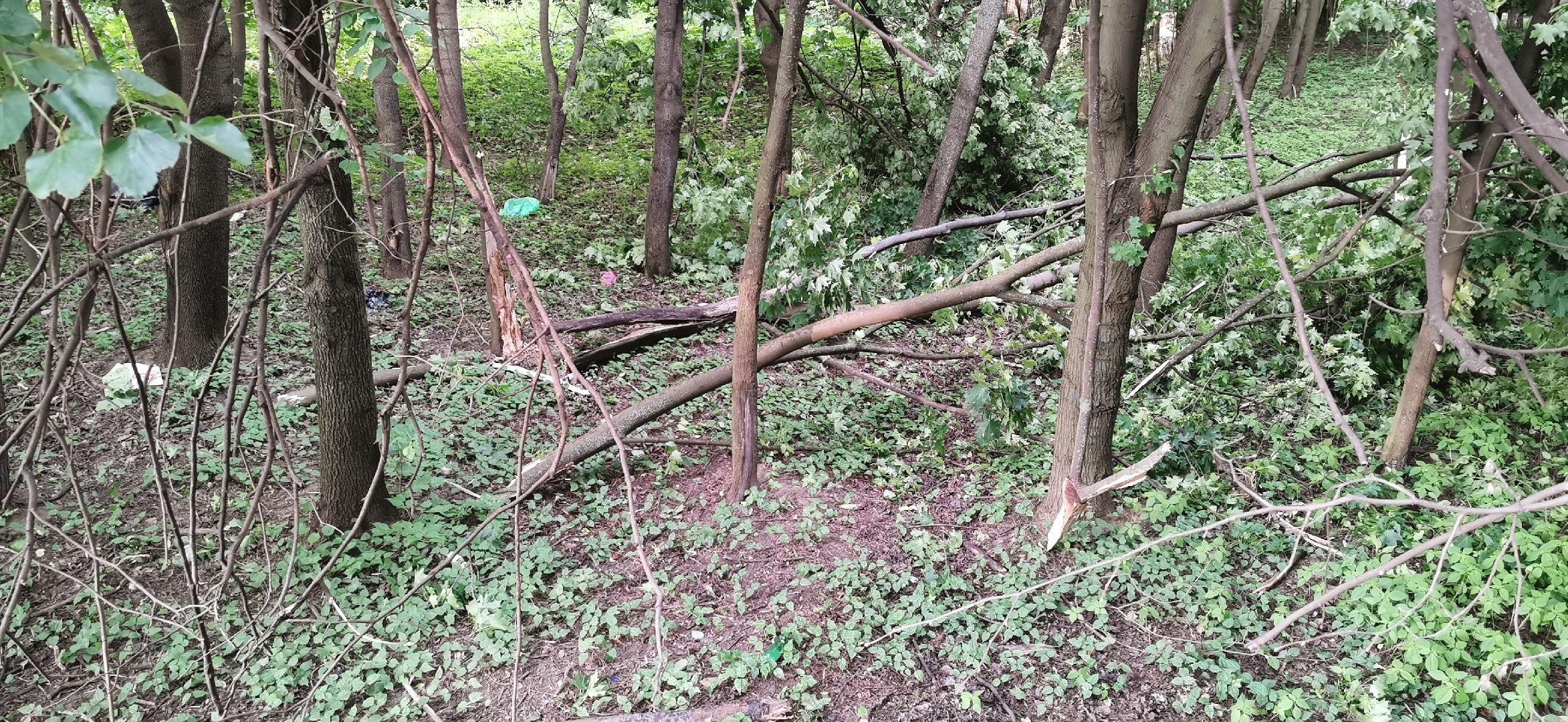 авария, чп, происшествия,