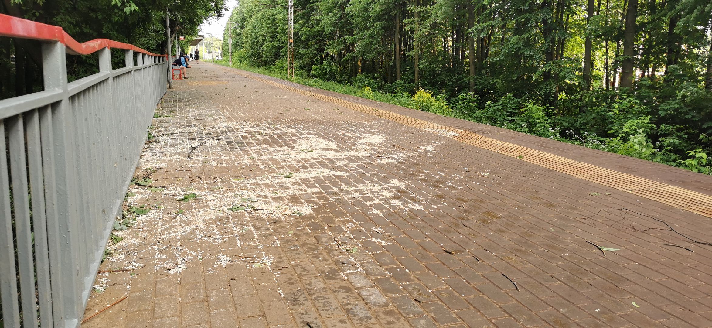 авария, чп, происшествия,