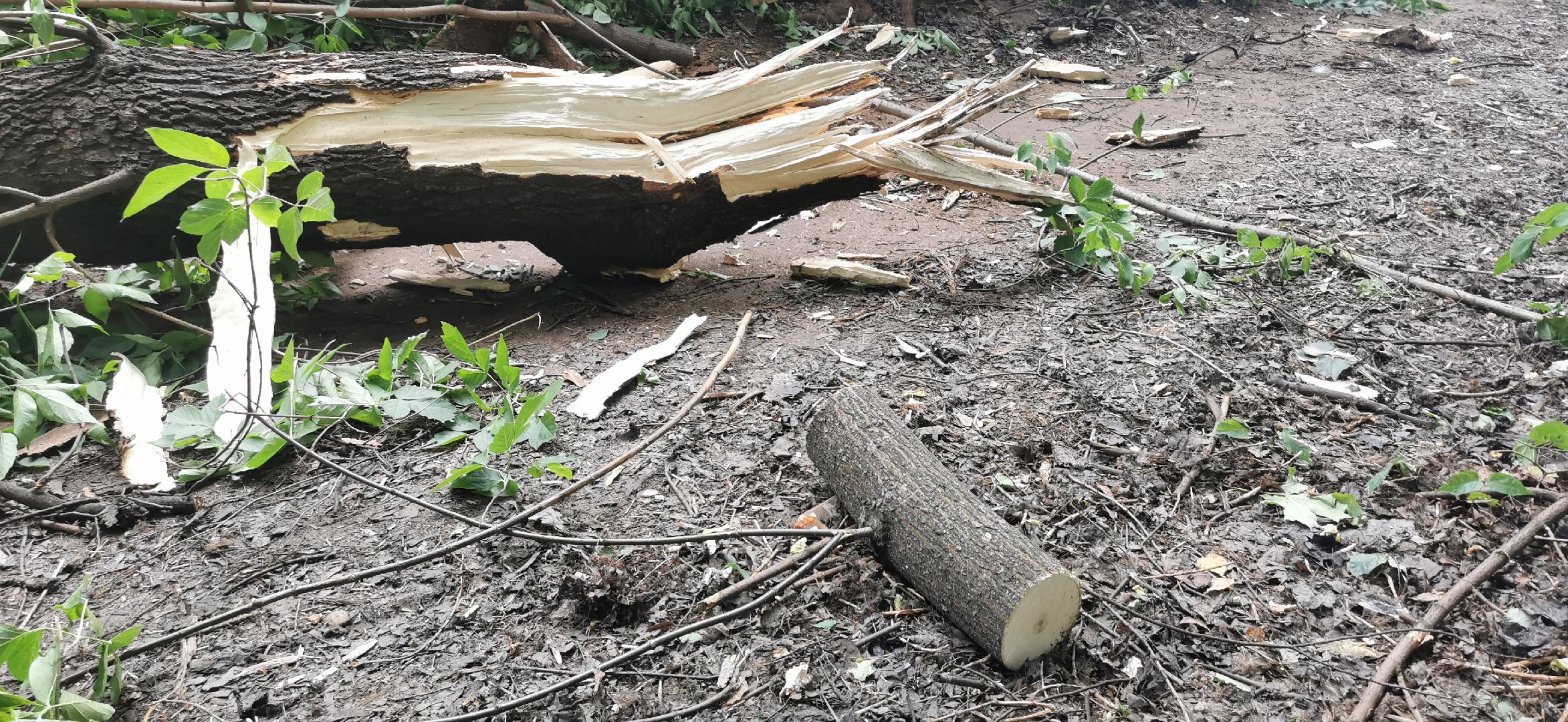 авария, чп, происшествия,