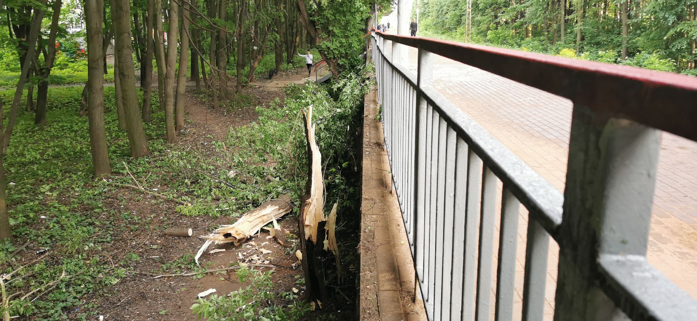 авария, чп, происшествия,