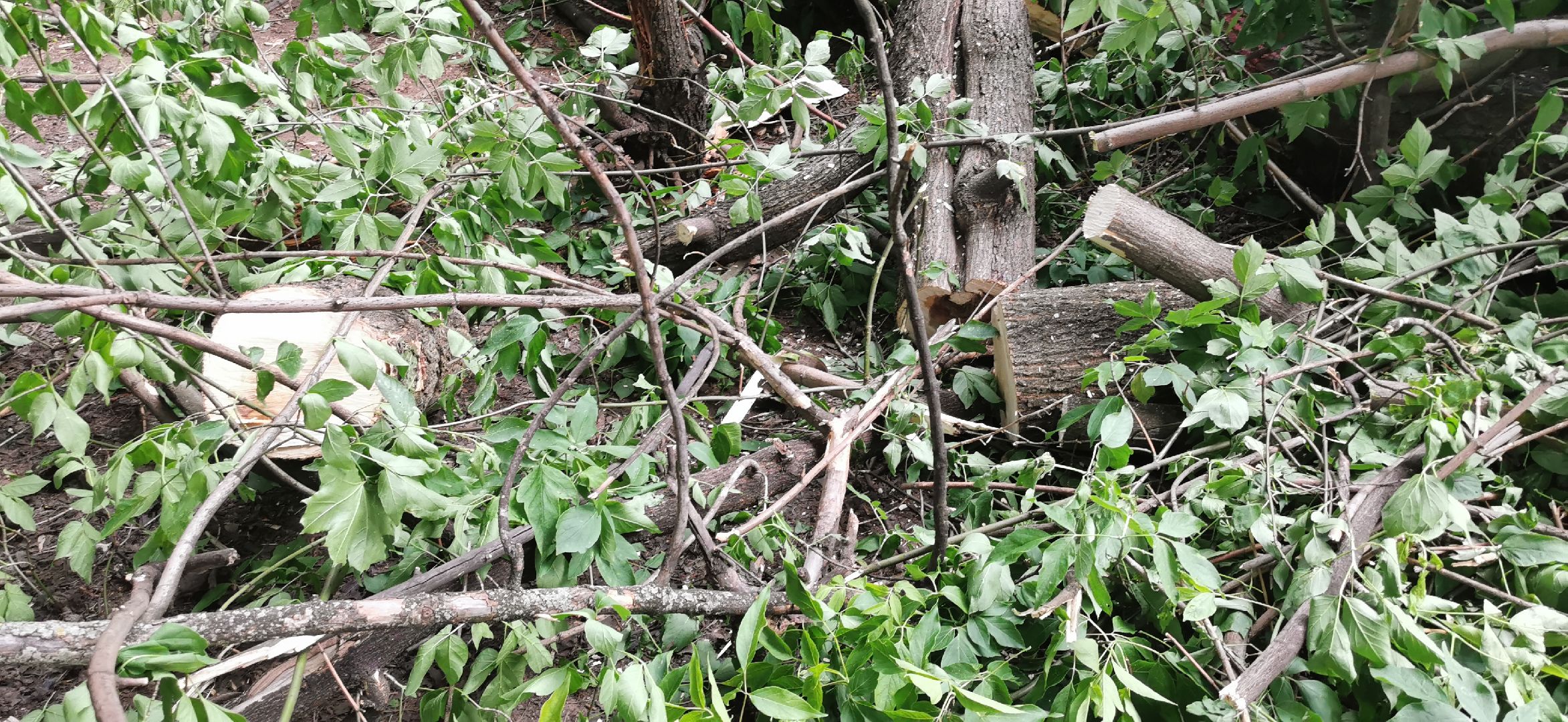 авария, чп, происшествия,