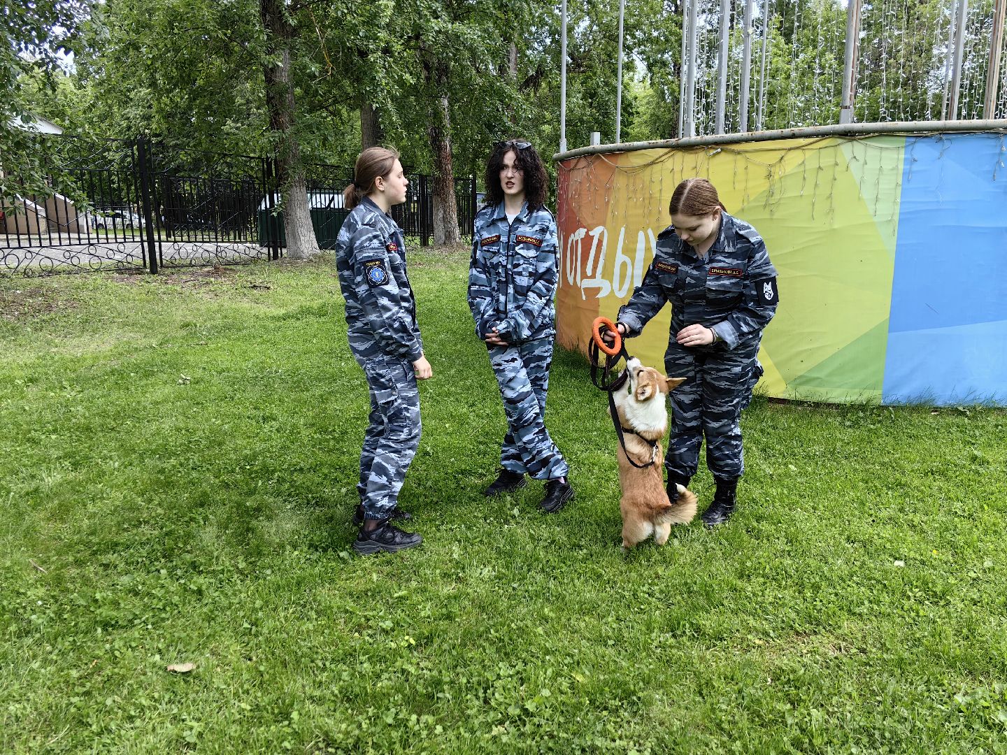 Кинолог, предприниматель, парк, бизнес, собака