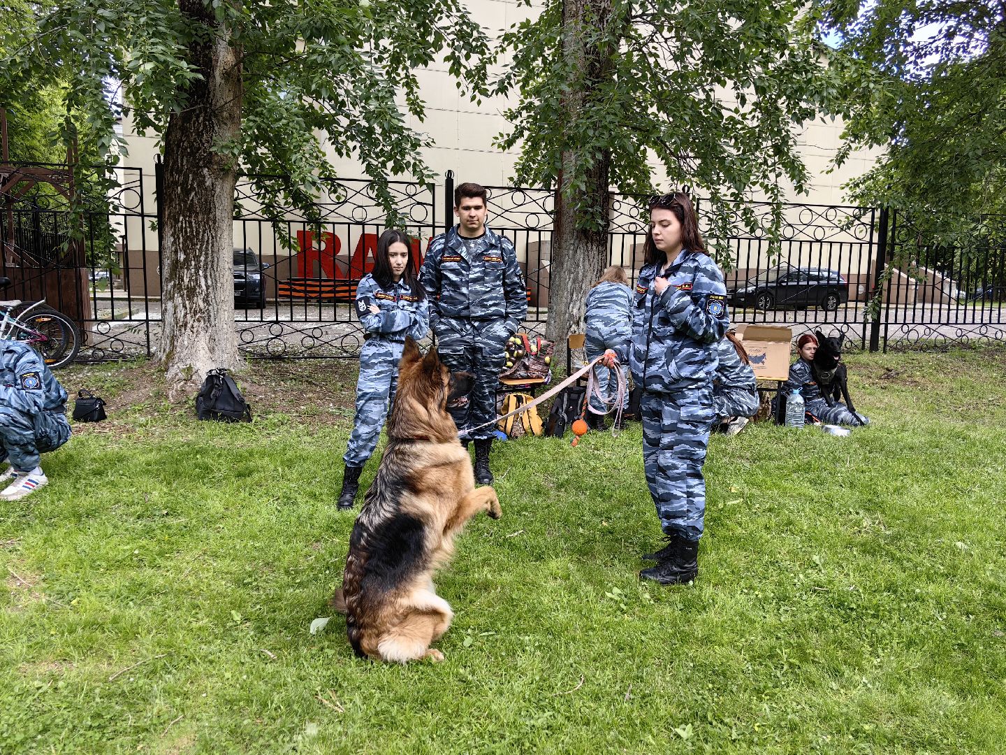 Кинолог, предприниматель, парк, бизнес, собака