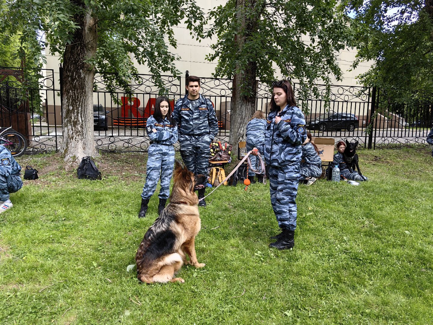 Кинолог, предприниматель, парк, бизнес, собака