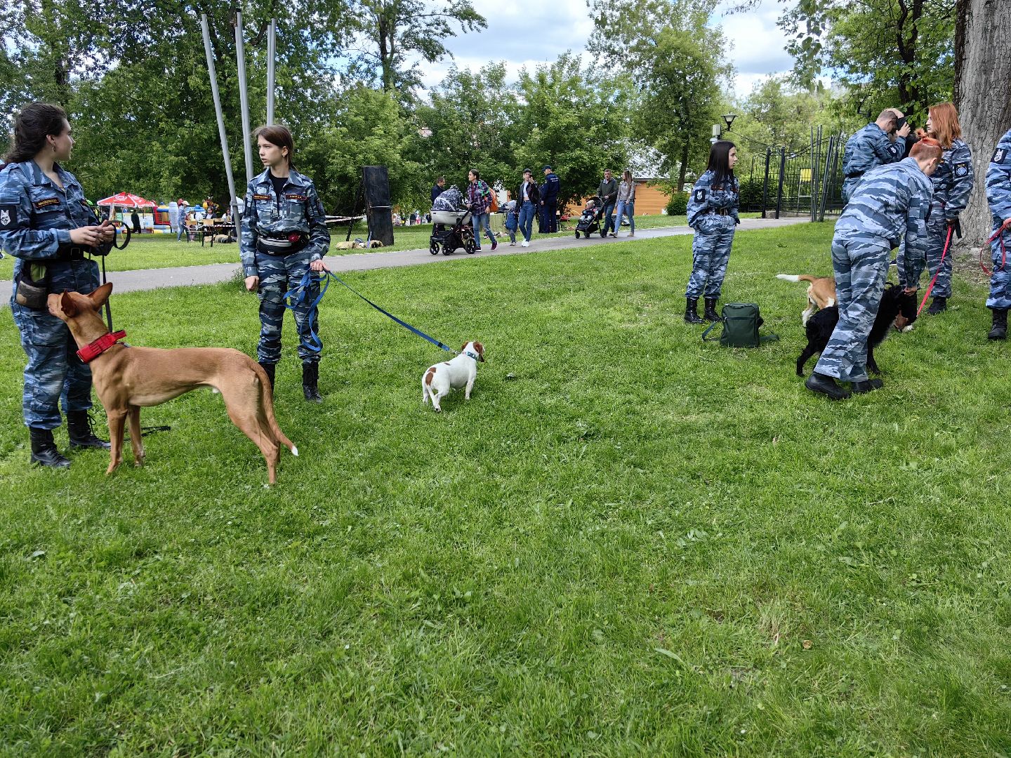 Кинолог, предприниматель, парк, бизнес, собака