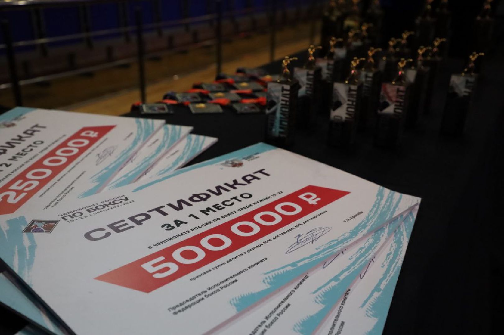 бокс, спорт, серпухов, поселок большевик, чемпионат по боксу, дс надежда,