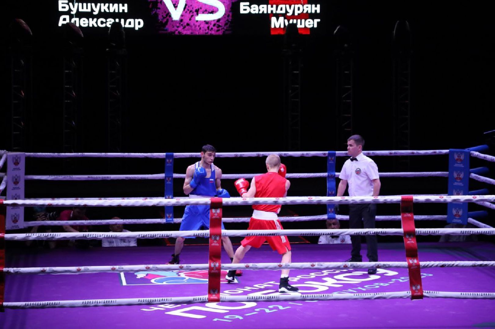 бокс, спорт, серпухов, поселок большевик, чемпионат по боксу, дс надежда,