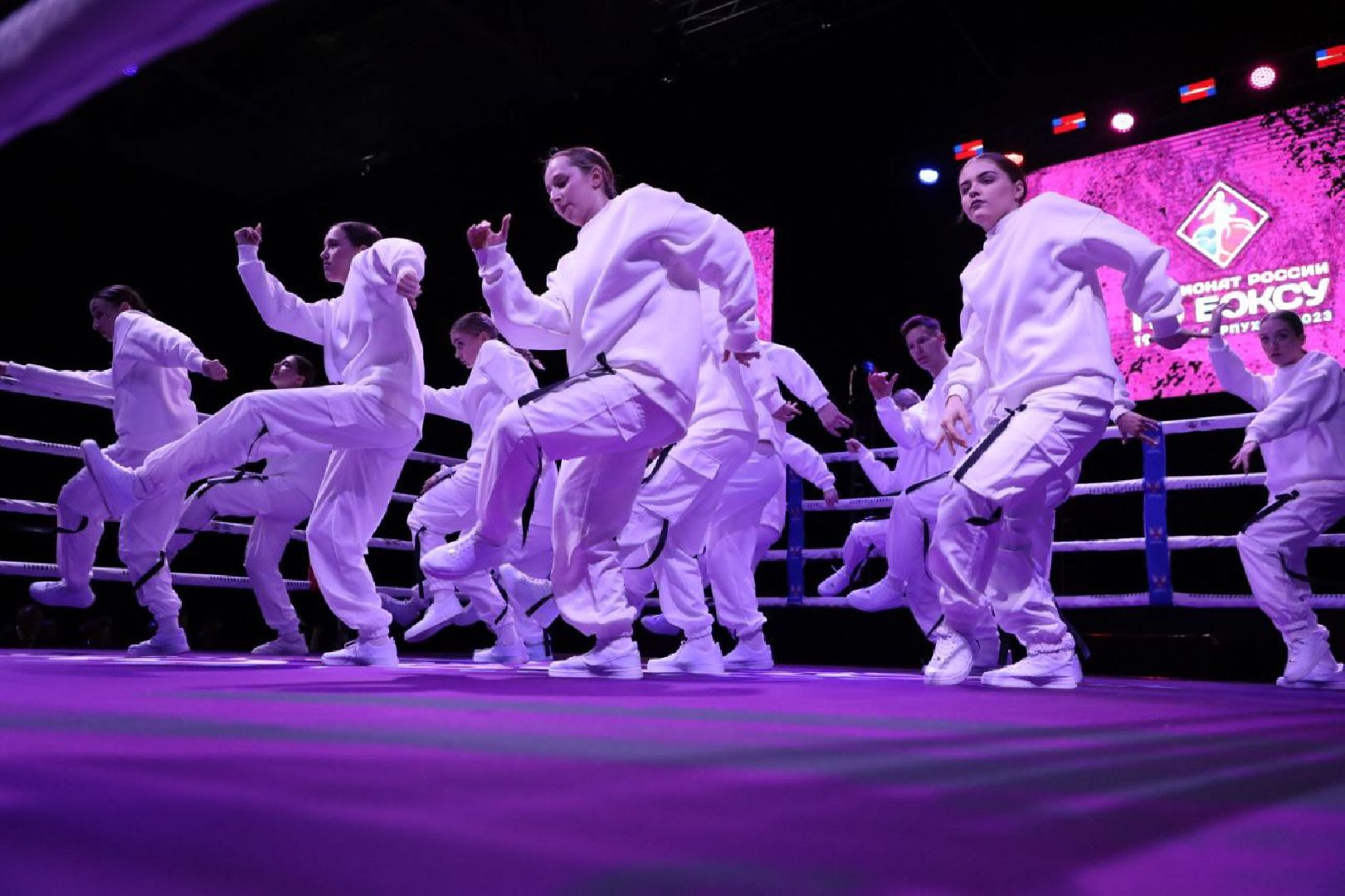 бокс, спорт, серпухов, поселок большевик, чемпионат по боксу, дс надежда,