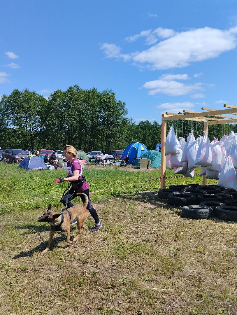 Экстремальные гонки, Хвостатый драйв, гонки с собаками, Старая Купавна, Богородский городской округ, эксклюзив