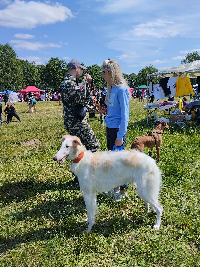 Экстремальные гонки, Хвостатый драйв, гонки с собаками, Старая Купавна, Богородский городской округ, эксклюзив