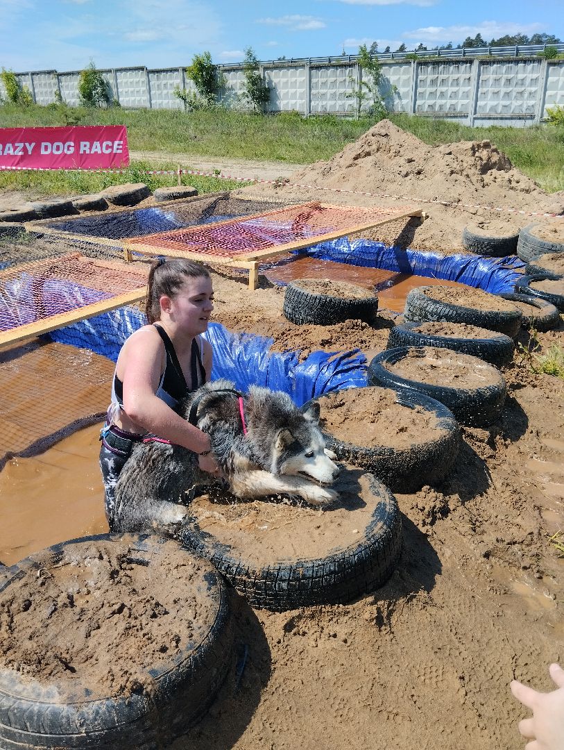 Экстремальные гонки, Хвостатый драйв, гонки с собаками, Старая Купавна, Богородский городской округ, эксклюзив