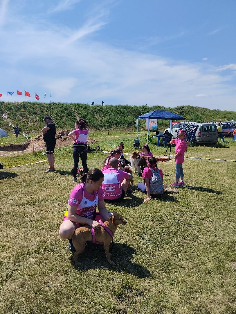 Экстремальные гонки, Хвостатый драйв, гонки с собаками, Старая Купавна, Богородский городской округ, эксклюзив