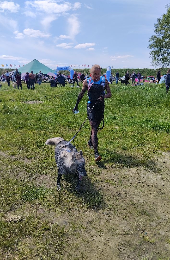 Экстремальные гонки, Хвостатый драйв, гонки с собаками, Старая Купавна, Богородский городской округ, эксклюзив