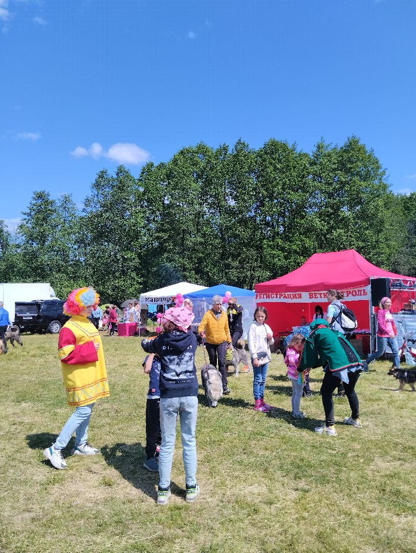 Анимация, дети,