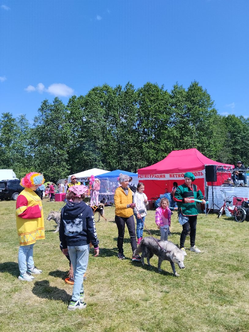 Анимация, дети,