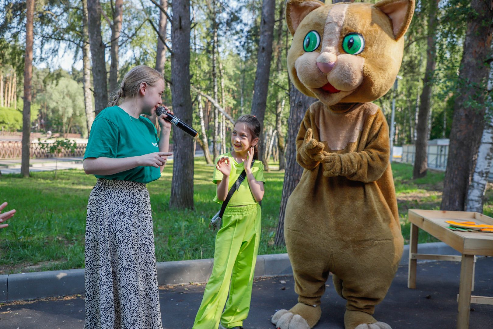 Семьи военнослужащих, Домодедово