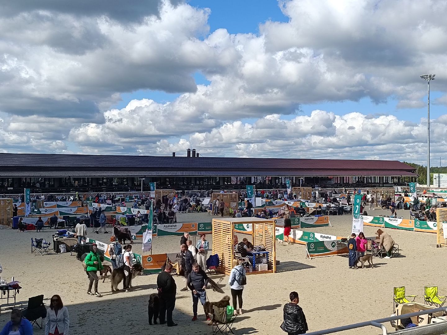 Дмитров, Максима парк, Российская кинологическая федерация, Выставка Россия 2023