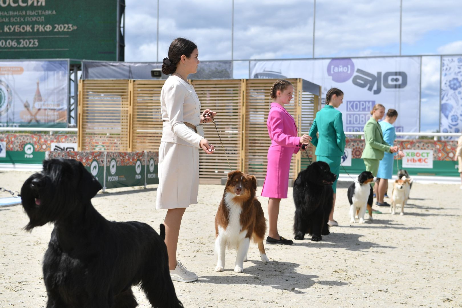 Дмитров, Максима парк, Российская кинологическая федерация, Выставка Россия 2023