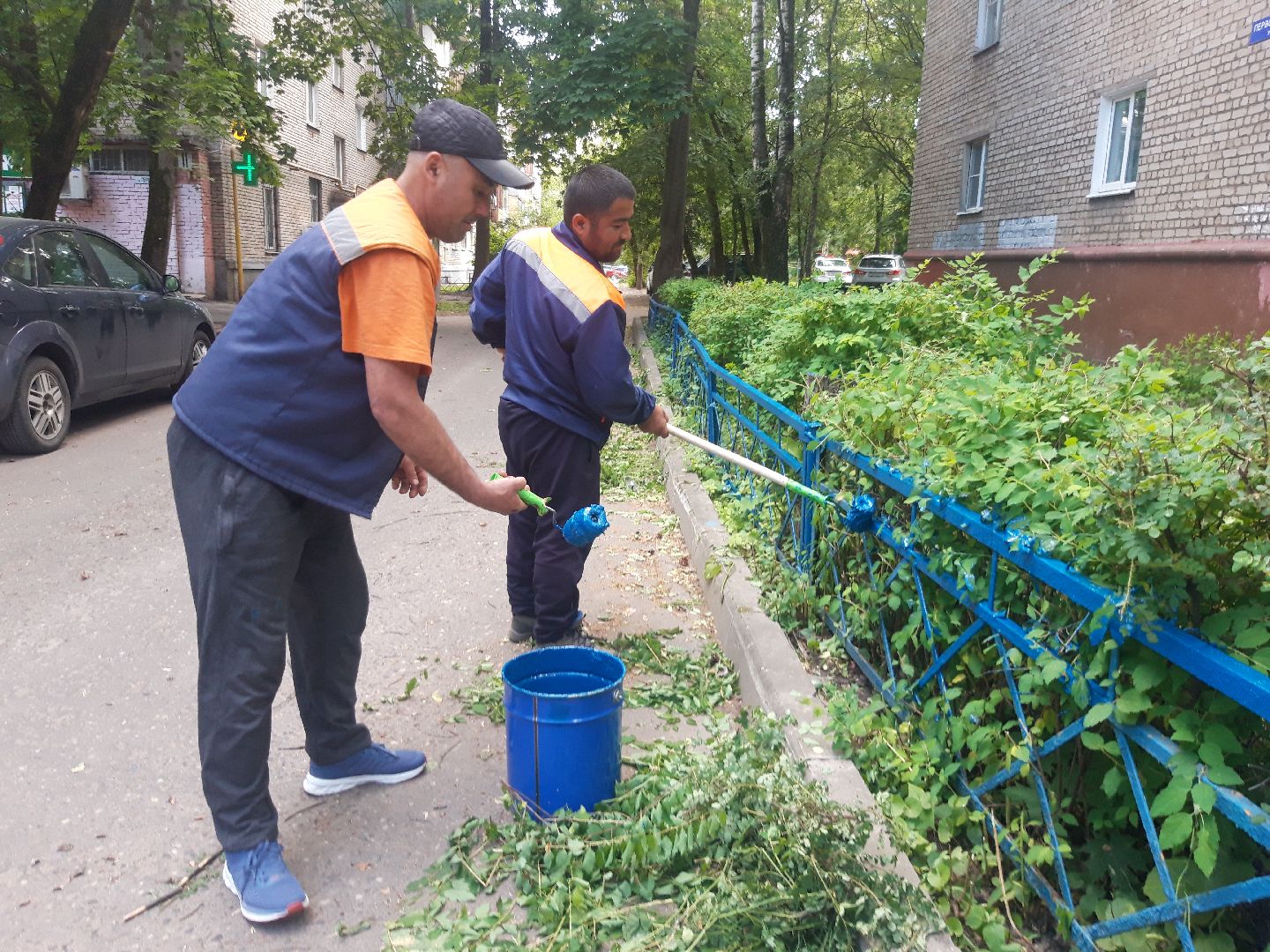 доброе дело, двор,