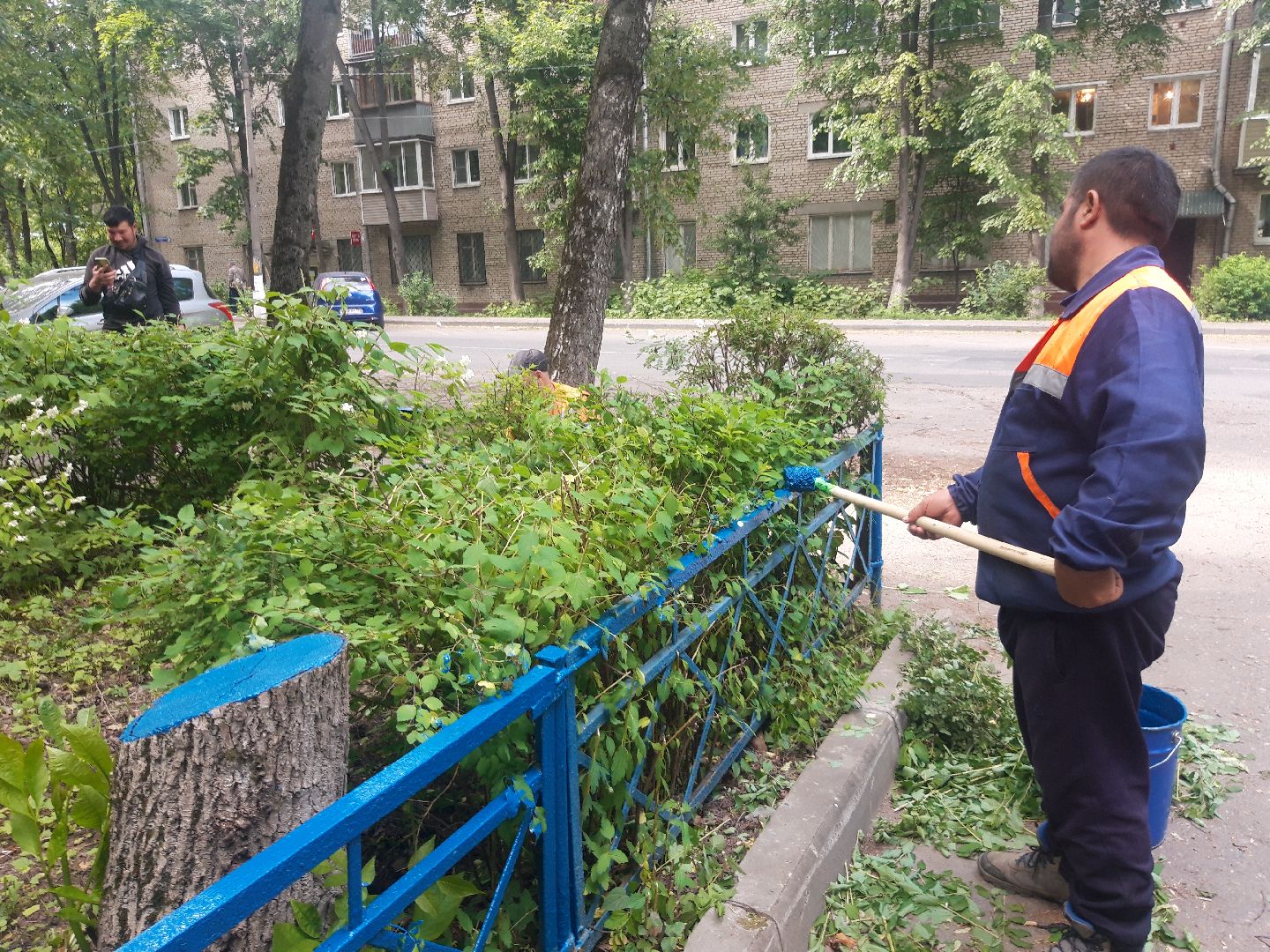 доброе дело, двор,