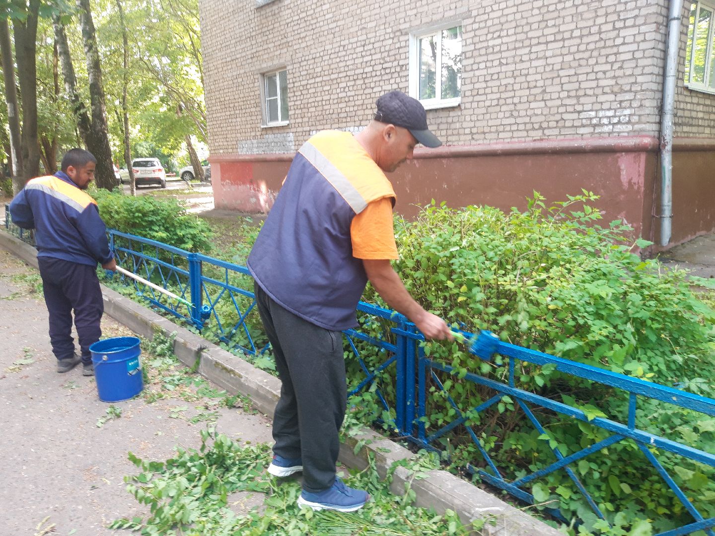 доброе дело, двор,