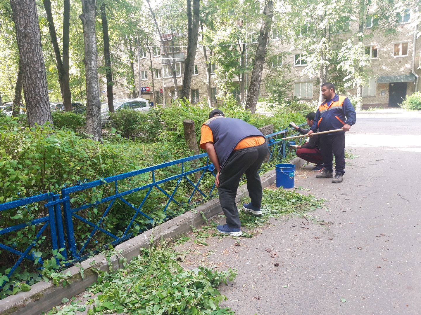 доброе дело, двор,