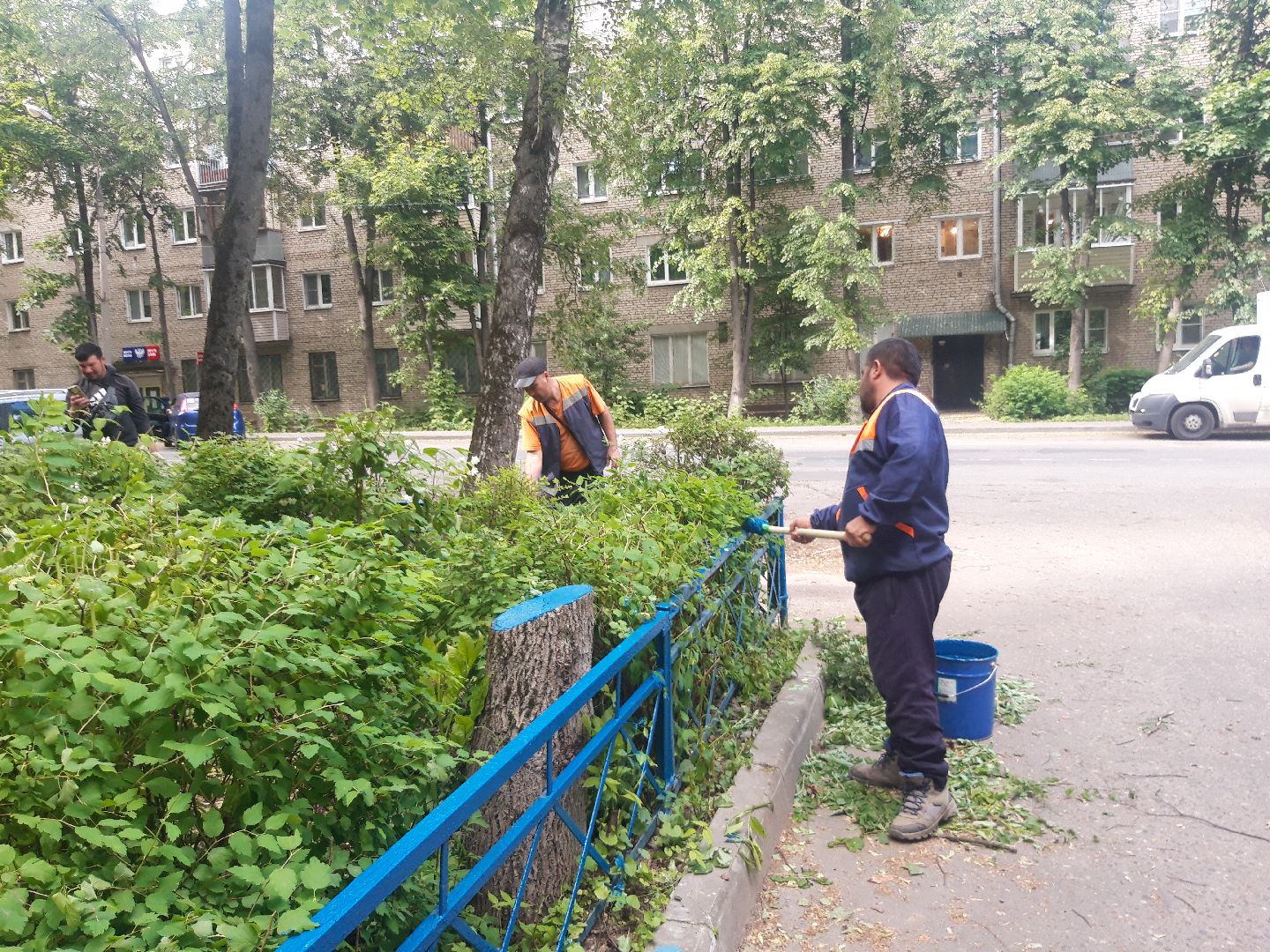 доброе дело, двор,