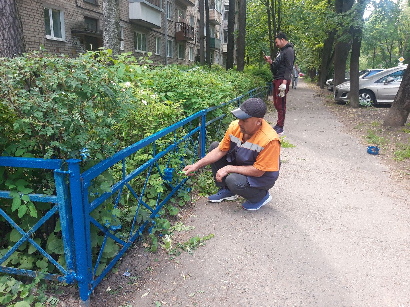 доброе дело, двор,