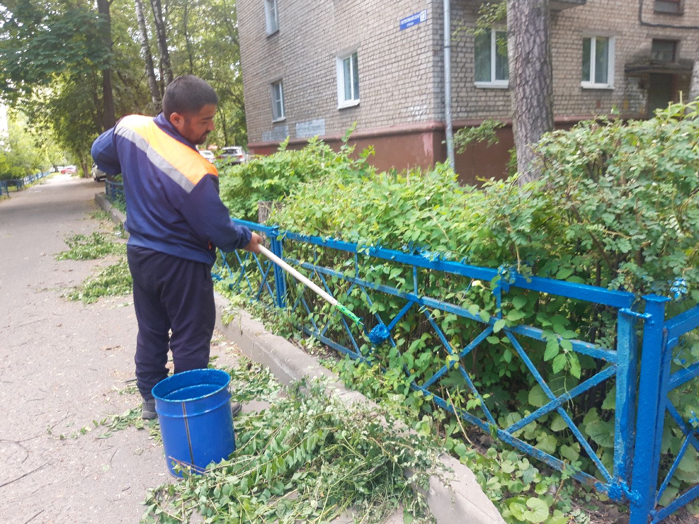 доброе дело, двор,