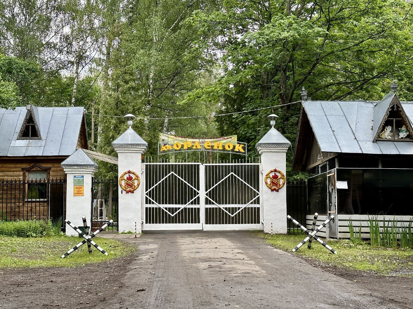 Клин, дети, лагеря, лето, Подмосковье