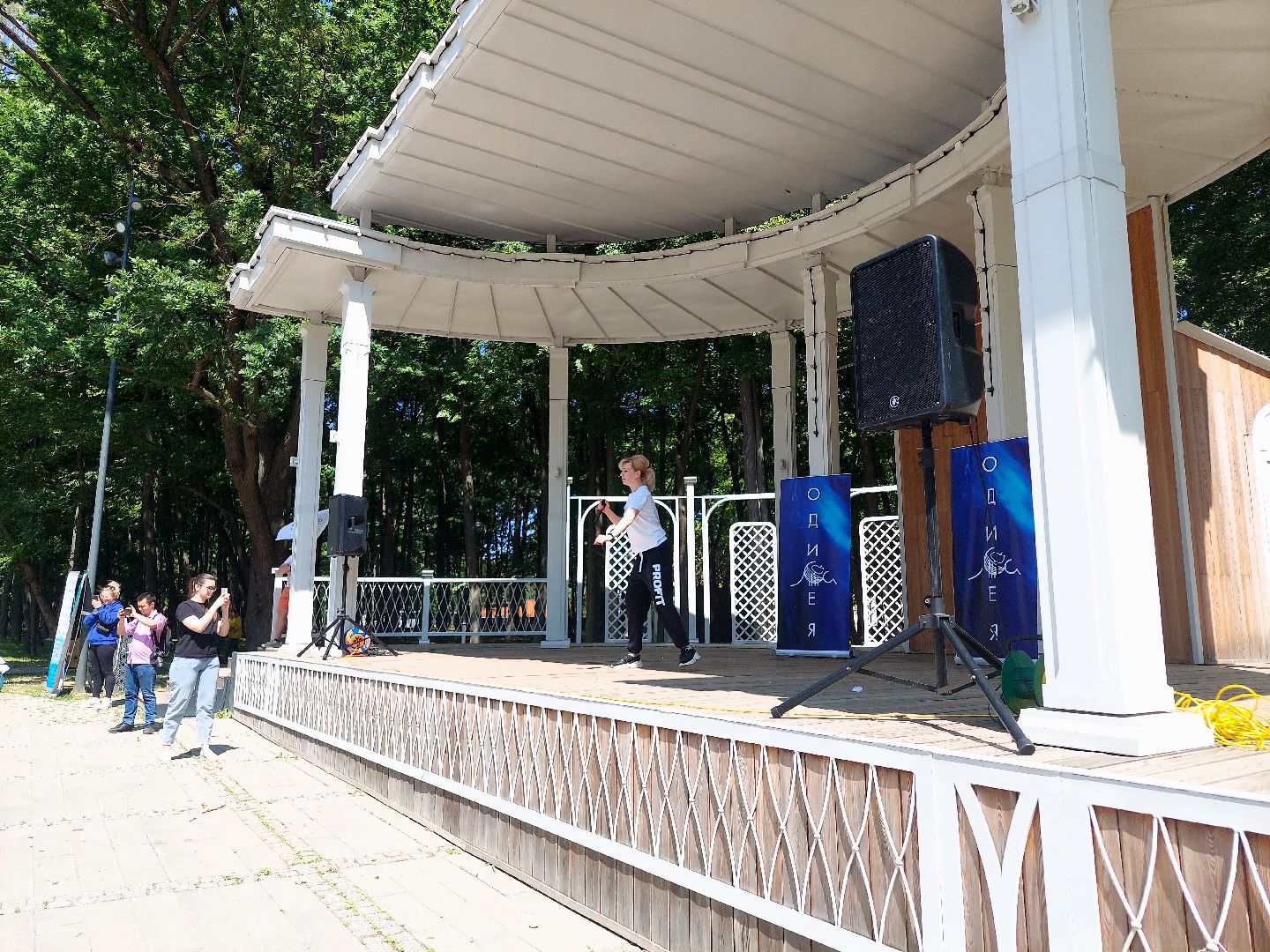 День России, парк Кривякино, праздник