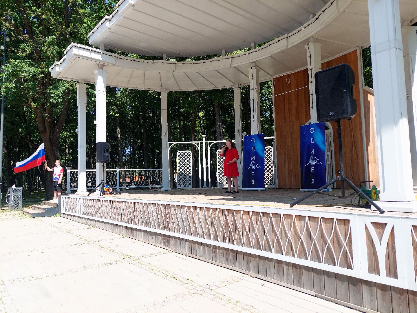 День России, парк Кривякино, праздник