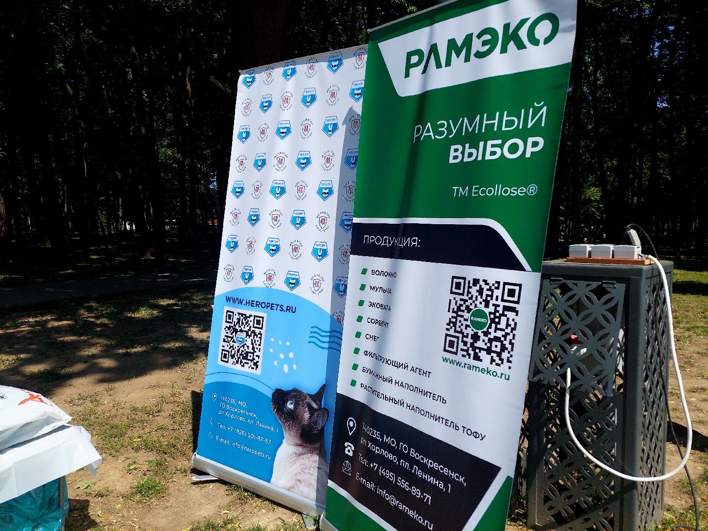 День России, парк Кривякино, праздник