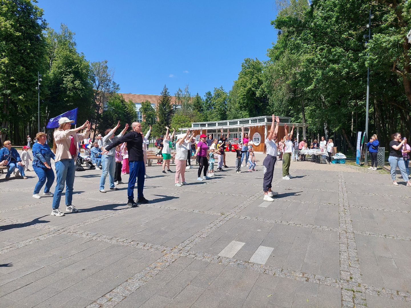 День России, парк Кривякино, праздник