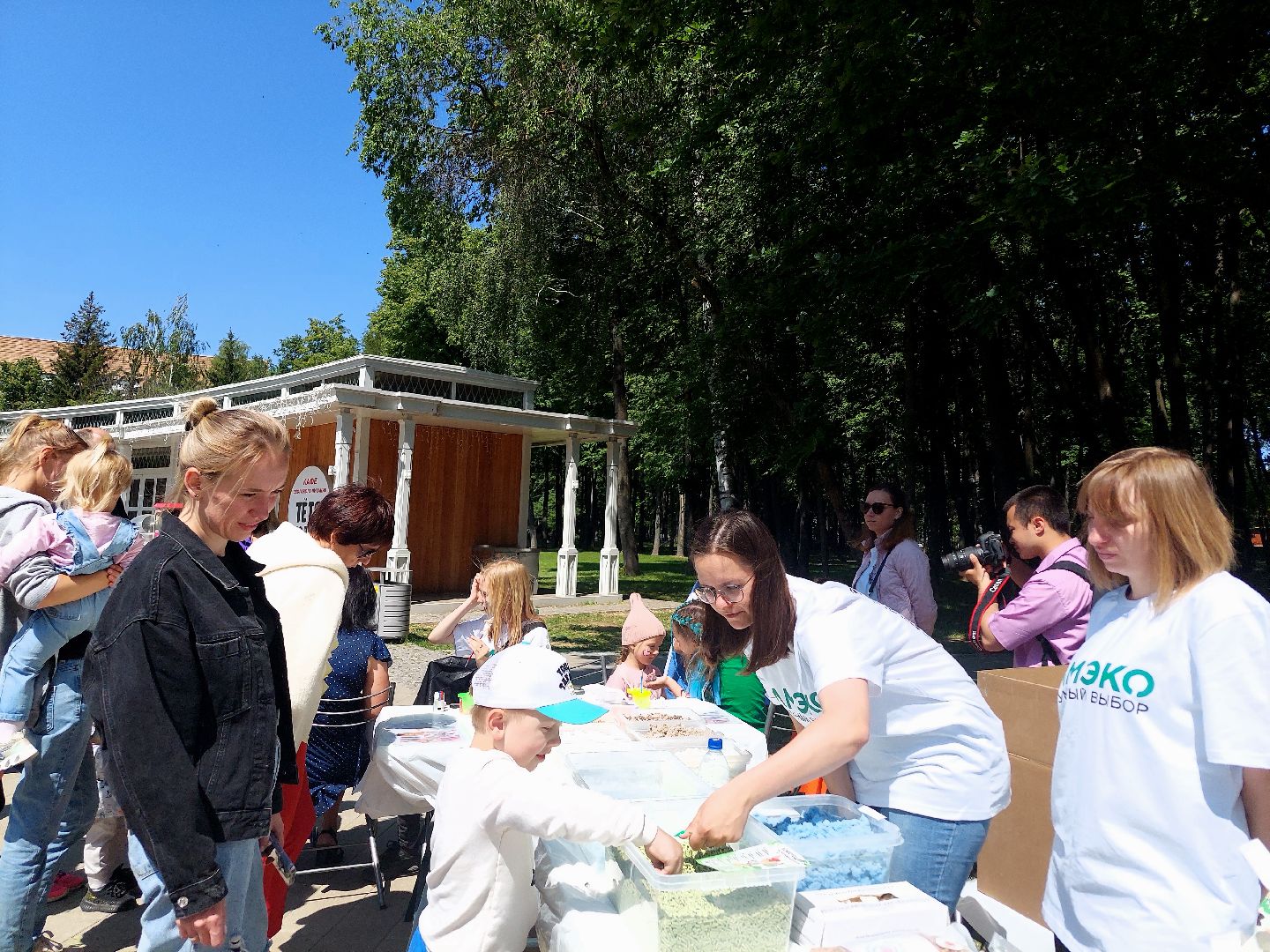 День России, экология, парк Кривякино