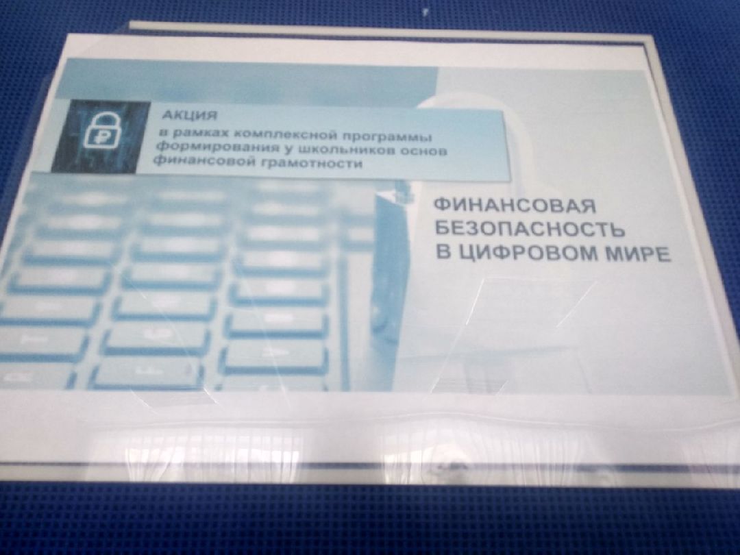 Дмитров, Синьково, Центробанк РФ, Министерство экономики и финансов МО, урок финансовой грамотности