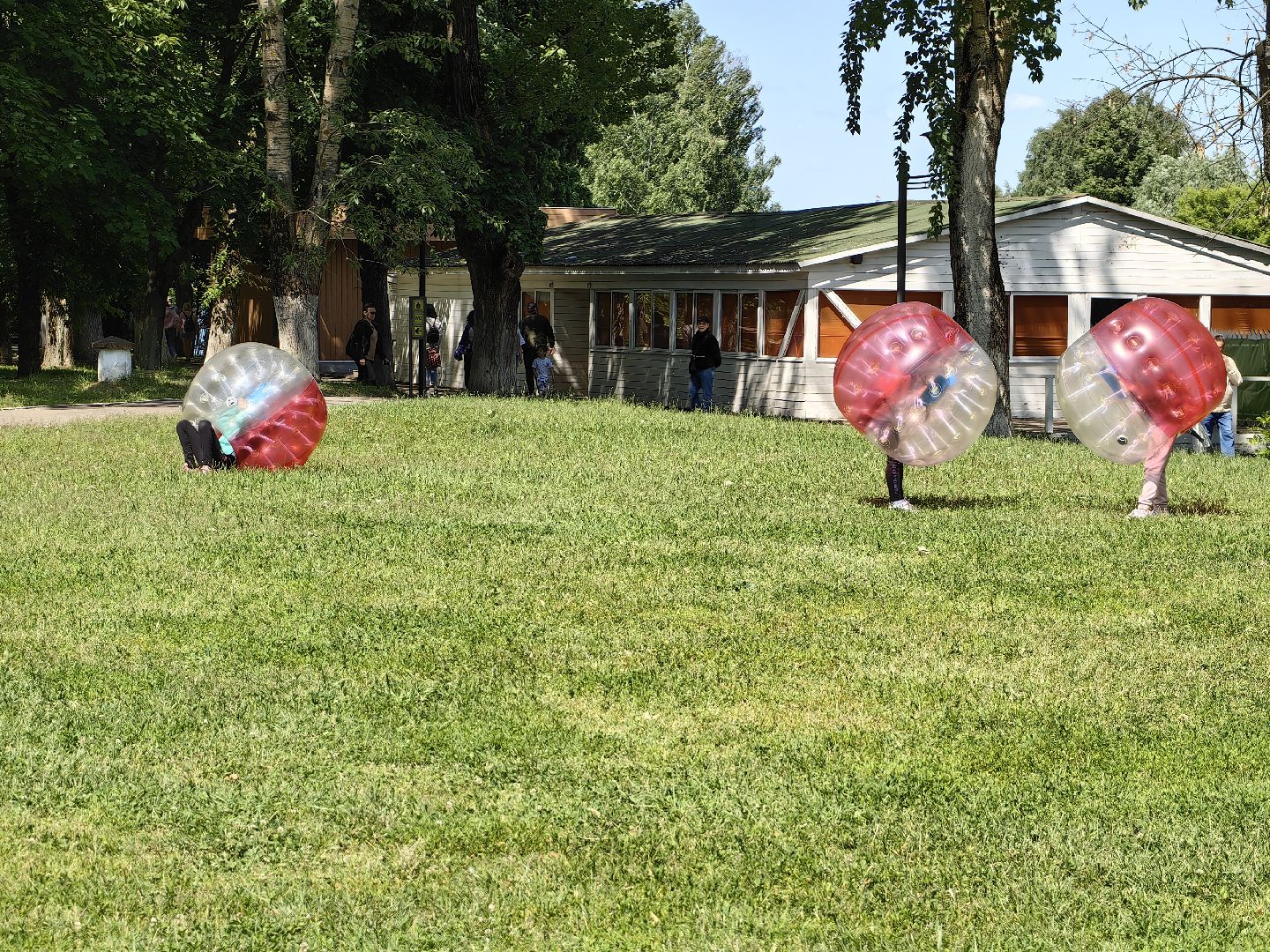 Бампербол, шары, дети, праздник, парк