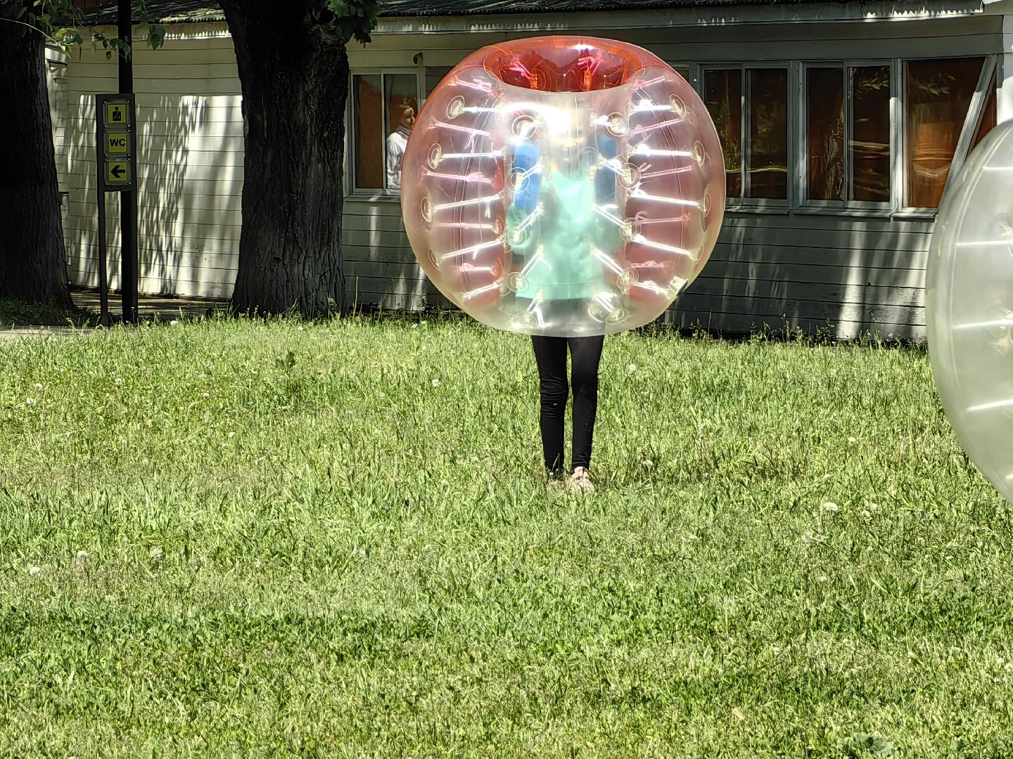 Бампербол, шары, дети, праздник, парк