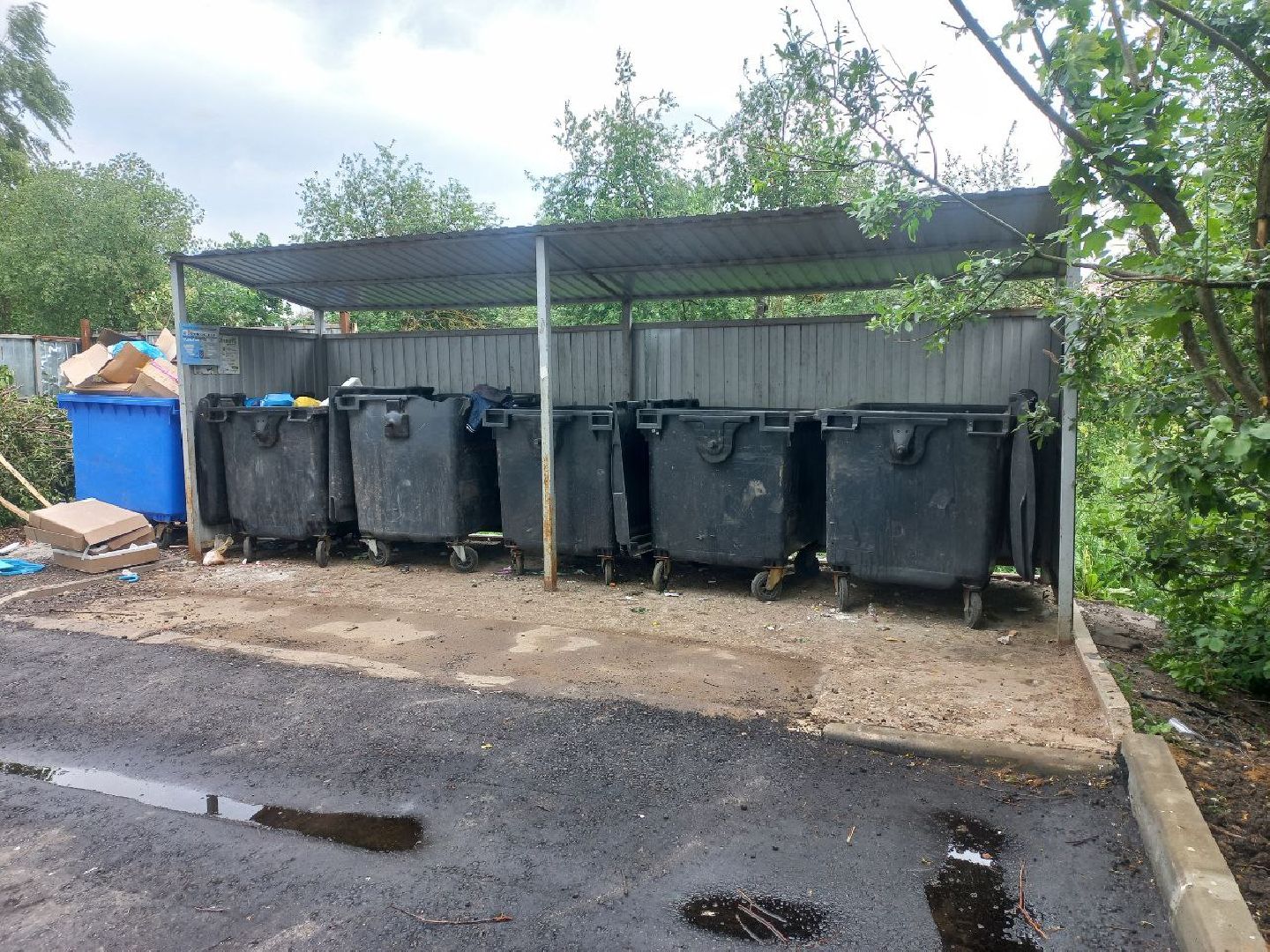 Солнечногорск, контейнеры, цмис, площадка, жители